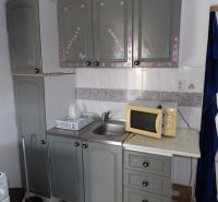 Küchenbereich in einer 2-Zimmer-Wohnung mit Mikrowelle und dekorierten Schränken.