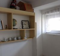 Ein Regal mit Souvenirs und Büchern in einer 2-Zimmer-Wohnung mit Licht aus dem Fenster.