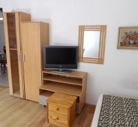 Ein Fernseher auf einem niedrigen Schrank, ein Schrank und ein Spiegel in einer 2-Zimmer-Wohnung mit einem Boden in Holzoptik.