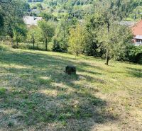 Garten bei einem Einfamilienhaus in der Sabinovská-Straße in Prešov mit Obstbäumen.