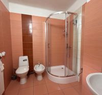 Badezimmer im Einfamilienhaus: Duschkabine, Toilette, Bidet, Fliesen in warmen Tönen.