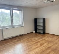Innenraum eines Einfamilienhauses mit Regal, Fenster und Boden in Holzoptik.