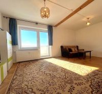 Wohnzimmer in einer 2-Zimmer-Wohnung mit Holzboden und Teppichen.
