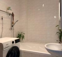 Badezimmer mit Badewanne, Waschmaschine und Pflanzen in einer 2-Zimmer-Wohnung.