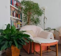 Ein bequemer Sessel bei einem Bücherregal mit Pflanzen, ergänzt durch einen Boden mit Holzdekor.