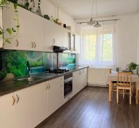 Helle Küche einer 2-Zimmer-Wohnung mit Holzboden und Pflanzen.