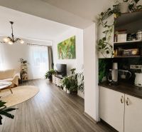Wohnzimmer in einer Zweizimmerwohnung mit Licht, Pflanzen und einem Boden in Holzoptik.