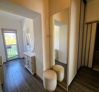 Der Flur in einer 2-Zimmer-Wohnung mit einem Spiegel und einem Boden in Holzoptik.