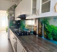 Küche in einer 2-Zimmer-Wohnung mit einem Boden in Holzoptik und einem Waldmotiv an der Wand.