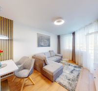 Wohnzimmer in einer 2-Zimmer-Wohnung mit Holzboden und grauem Sofa.