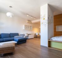 Wohnbereich in einer Einzimmerwohnung mit einem blauen Sofa und einem Boden in Holzoptik.