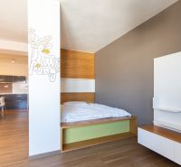 1-Zimmer-Wohnung mit Holzboden, Küche und Bett.