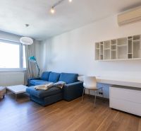 Wohnzimmer mit blauem Sofa, Tisch und Holzboden in einer Einzimmerwohnung.