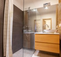 Ein Badezimmer in einer Einzimmerwohnung mit Holzelementen und einer Duschkabine.