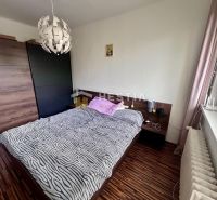 Schlafzimmer in einer 2-Zimmer-Wohnung mit Holzboden, Bett und Schrank.