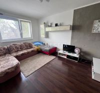 Wohnzimmer mit Ecksofa, TV-Schrank und Holzboden in einer 2-Zimmer-Wohnung.