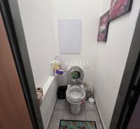 Toilette in einer 2-Zimmer-Wohnung mit gemustertem Teppich und Wanddekoration.