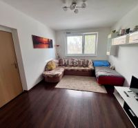 Wohnzimmer in einer 2-Zimmer-Wohnung mit komfortablem Sofa und Holzboden.