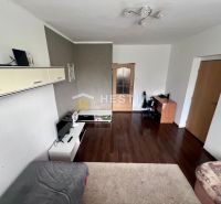 Wohnzimmer in einer Zweizimmerwohnung mit Holzboden und Möbeln.