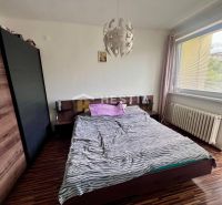 Schlafzimmer in einer 2-Zimmer-Wohnung mit Holzboden und großem Fenster.