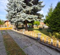 Der Garten eines Einfamilienhauses in Jelenec mit einem großen Nadelbaum und einem Zaun.