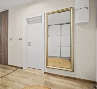 In einer 2-Zimmer-Wohnung befindet sich ein Spiegel mit goldenem Rahmen und ein Boden mit Holzdekor.