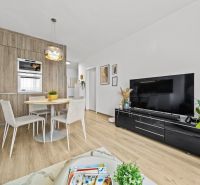 Wohnzimmer und Küche in einer 2-Zimmer-Wohnung mit Holzboden.