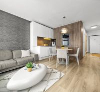 Wohnzimmer in einer Zweizimmerwohnung mit Sofa und Küchenzeile, Holzboden.