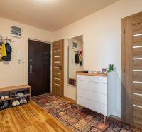 Eingangsbereich in einer 3-Zimmer-Wohnung mit einem Boden in Holzoptik und einem bunten Teppich.