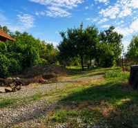 Garten bei einem Einfamilienhaus in Šalgočka, mit Gras und Obstbäumen.