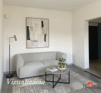 Ein Zimmer in einer Einzimmerwohnung mit einem Sofa, einem Bild und einem Boden in Holzoptik.