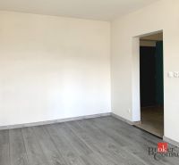 Ein leerer Raum in einer Einzimmerwohnung mit einem Boden in Holzoptik.