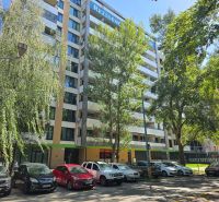 Ein Wohnhochhaus umgeben von Bäumen in der Antolská Straße in Bratislava, Petržalka.