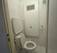 Badezimmer in einer Einzimmerwohnung mit Toilette, hellen Fliesen und Heizkörper.