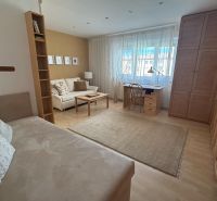 Wohnzimmer in einer Einzimmerwohnung mit Holzboden, weißem Sofa und Schreibtisch.