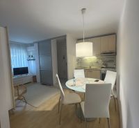 Essbereich in einer Einzimmerwohnung mit Küche und Holzboden.
