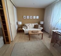 Wohnbereich einer Einzimmerwohnung mit Sofa, Holztisch und dekorativen Elementen.