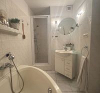 Badezimmer mit Badewanne, Waschbecken und Dusche in einer Einzimmerwohnung.
