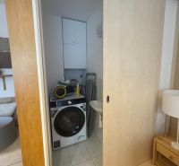 Badezimmer in einer Einzimmerwohnung mit Waschmaschine und Schiebetüren, Boden mit Holzdekor.