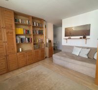Wohnzimmer in einer Einzimmerwohnung mit Bibliothek und Sofa, Boden mit Holzdekor.