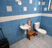 Badezimmer in einem Einfamilienhaus mit blauen Fliesen, Waschbecken und WC.