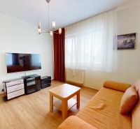 Wohnzimmer in einer 3-Zimmer-Wohnung mit Holzboden, Sofa und Fernseher.