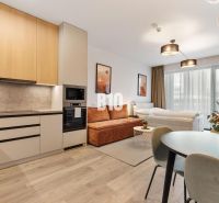 Küche und Wohnbereich einer Einzimmerwohnung mit Holzboden.