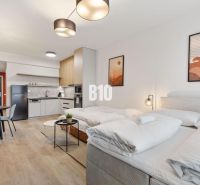 Stilvolles 1-Zimmer-Apartment mit Holzboden und gemütlichen Möbeln.