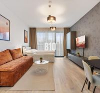 1-Zimmer-Wohnung mit Holzboden, Fernseher und bequemen Sitzgelegenheiten.