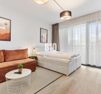Wohnbereich einer Einzimmerwohnung mit Sofa, Bett und Boden in Holzoptik.