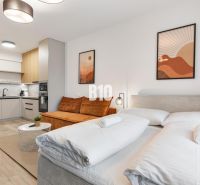 Innenraum einer Einzimmerwohnung mit Holzboden, Küche und Bett.