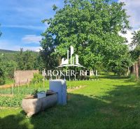 Der Garten des Einfamilienhauses in Gönc mit viel Grün und ausgewachsenen Bäumen.