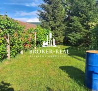 Ein Garten bei einem Einfamilienhaus in Gönc mit Weinreben und einem blauen Fass.