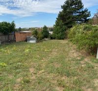 Der Garten des Einfamilienhauses in Zvončín mit Rasen und Bäumen in der Straße Zvončín.